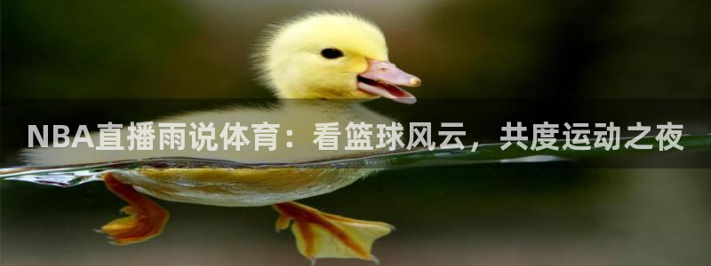 NBA直播雨说体育：看篮球风云，共度运动之夜