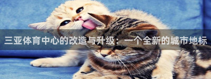 三亚体育中心的改造与升级：一个全新的城市地标