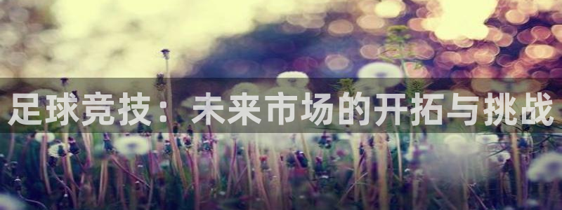 500比分足球即时比分：足球竞技：未来市场的开拓与挑战
