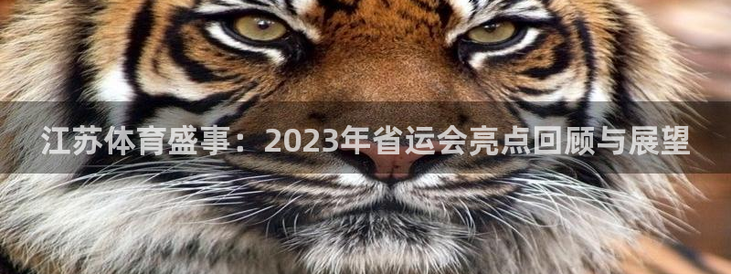500足球比分完场：江苏体育盛事：2023年省运会亮点回顾与展望