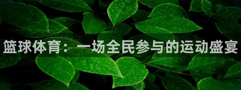 500开奖公告显示：篮球体育：一场全民参与的运动盛宴