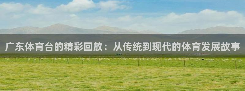 500比分网结果：广东体育台的精彩回放：从传统到现代的体育发展故事