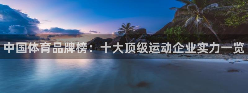 500比分足球即时比分完整版电脑版：中国体育品牌榜：十大顶级运动企业实力一览