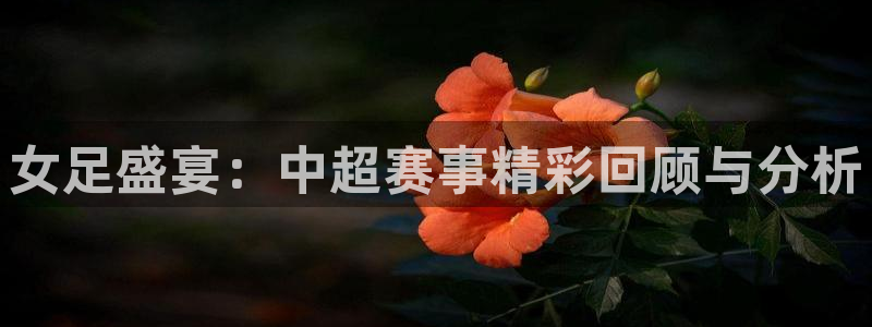 500完场比分直播：女足盛宴：中超赛事精彩回顾与分析