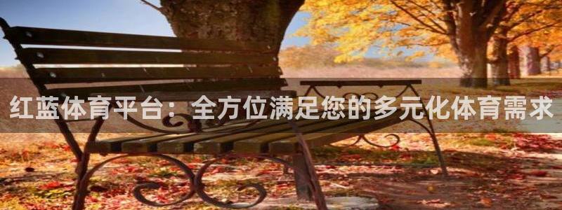 红蓝体育平台：全方位满足您的多元化体育需求
