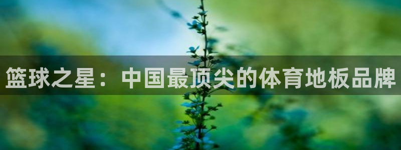 体育小结500字：篮球之星：中国最顶尖的体育地板品牌