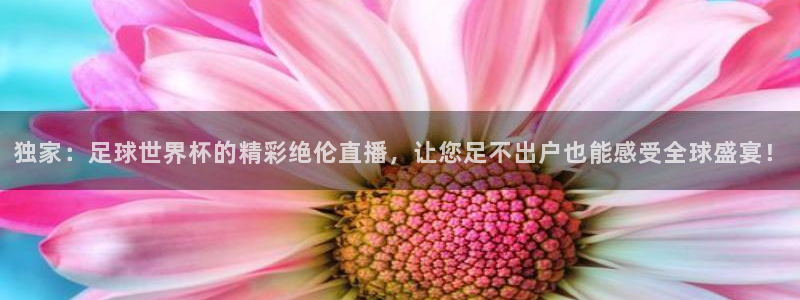 足球实时比分500：独家：足球世界杯的精彩绝伦直播，让您足不出户也能感受全球盛宴！